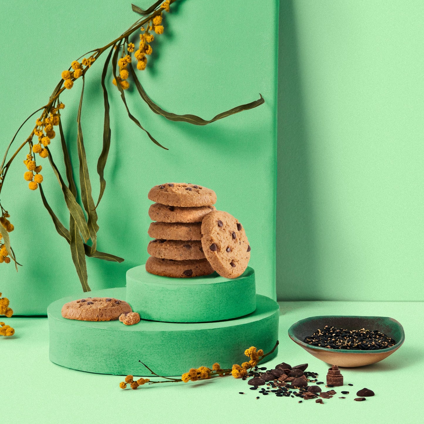 Chocolate Chip & Wattle Seed